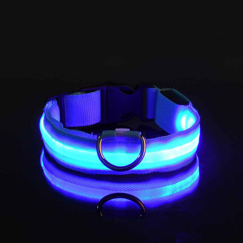 Rechargable Dog LED Flashing Collar